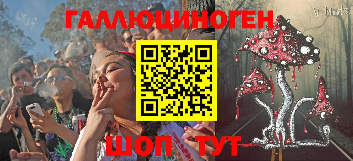 Галлюциногенные грибы Psilocybe  Вход с VPN  Нововоронеж 